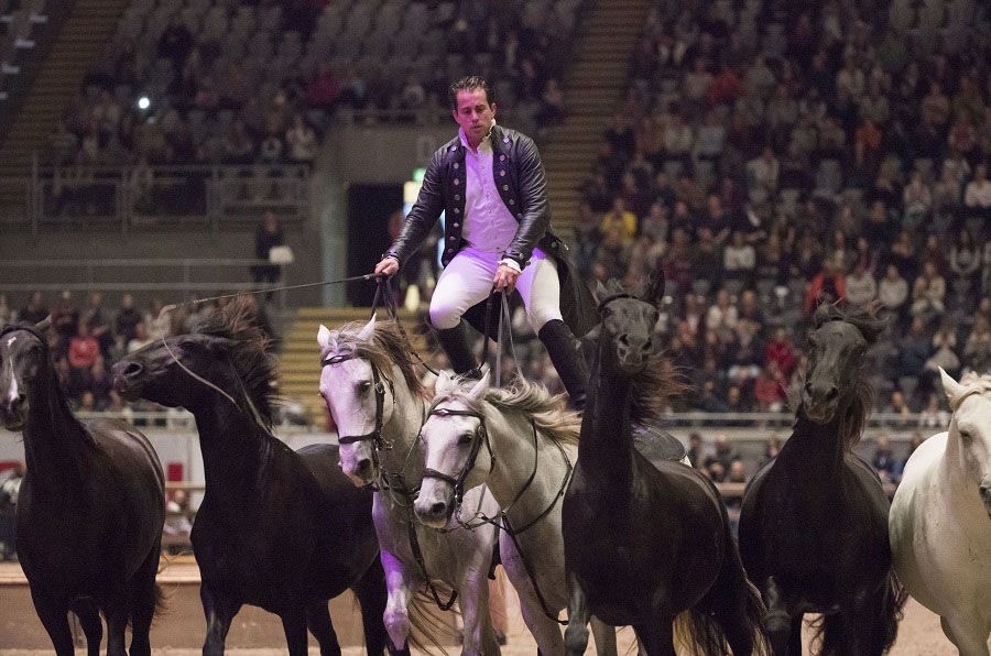 Foto: Roger Svalsrød/ hesteguiden.com